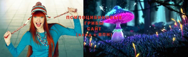 бошки Кодинск