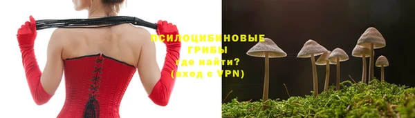 бошки Кодинск