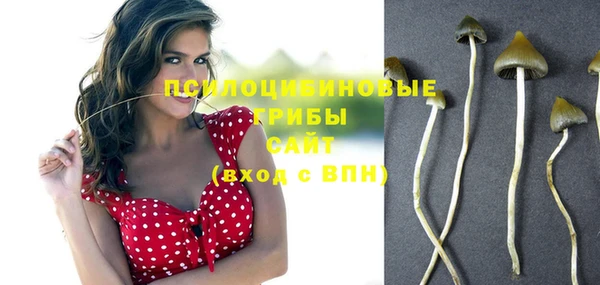 2c-b Козловка